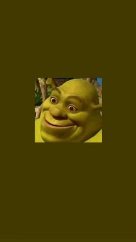 shrek wallpaper funny