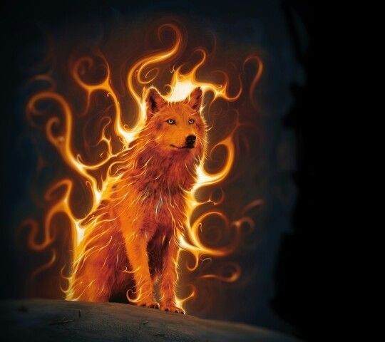 epic fire wolf wallpaper for nature lovers