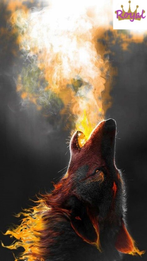 epic fire wolf wallpaper 0021