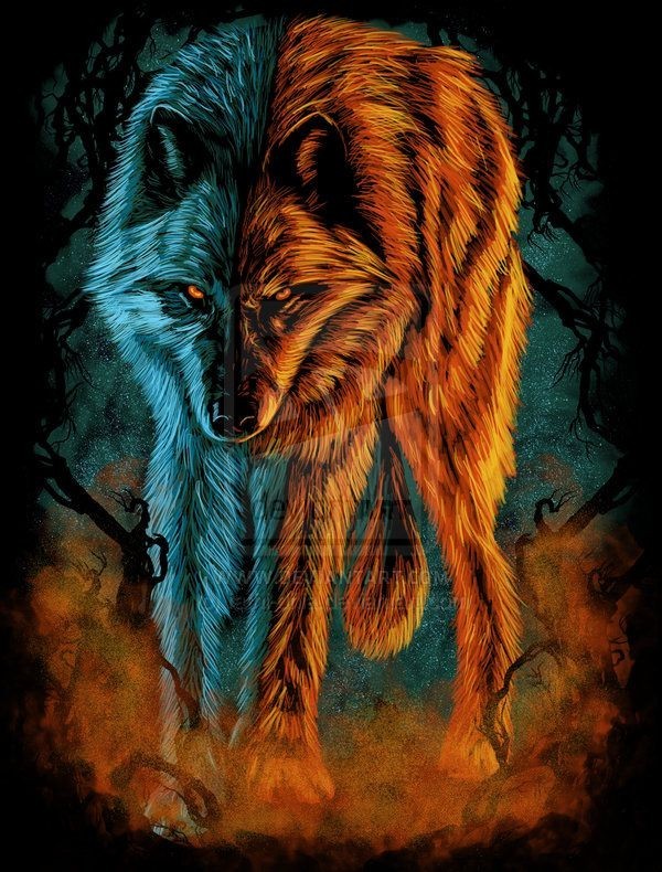 epic fire wolf wallpaper 0047