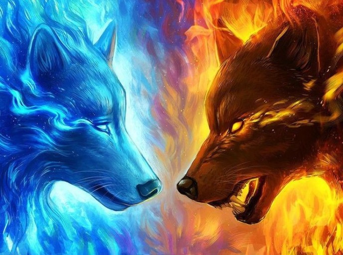 epic fire wolf wallpaper 0049