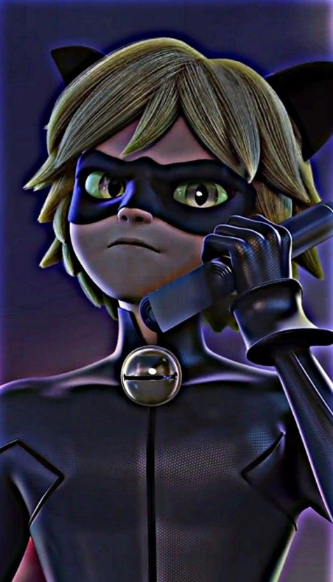 cat noir wallpaper