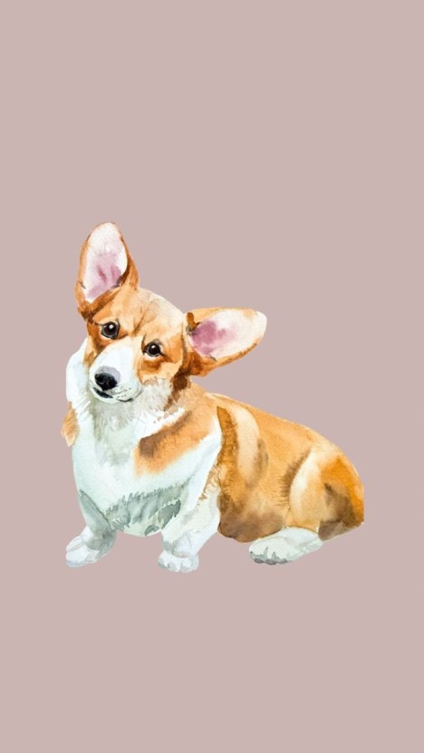 eye-catching corgi wallpapers