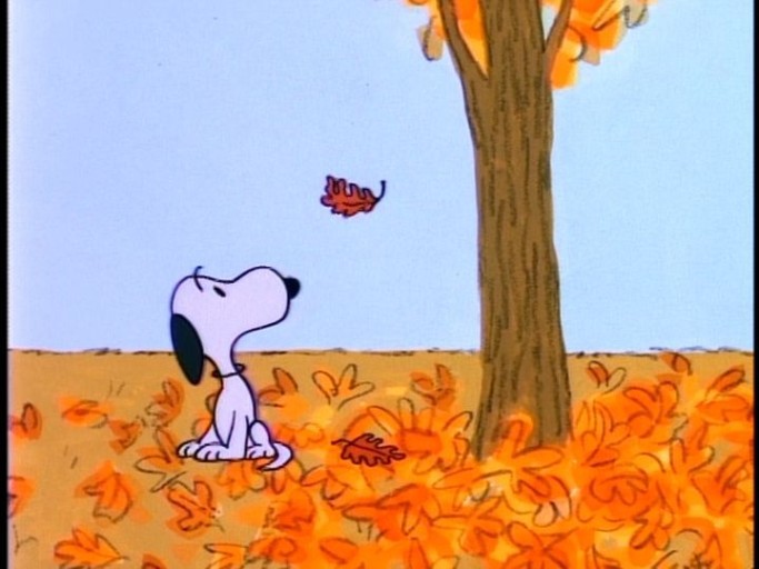 eye-catching snoopy fall patterns