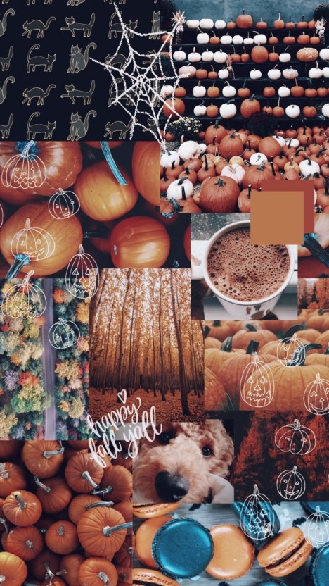 fall screensaver 0028