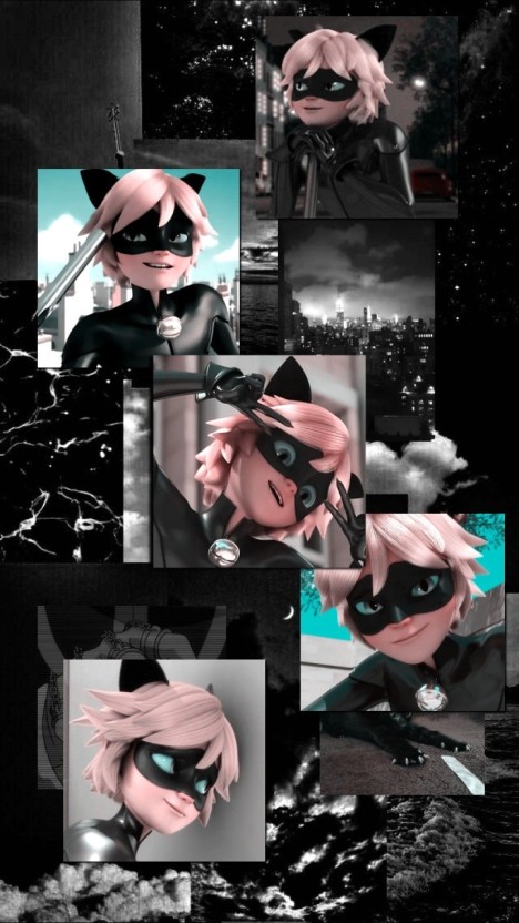 funny cat noir wallpaper