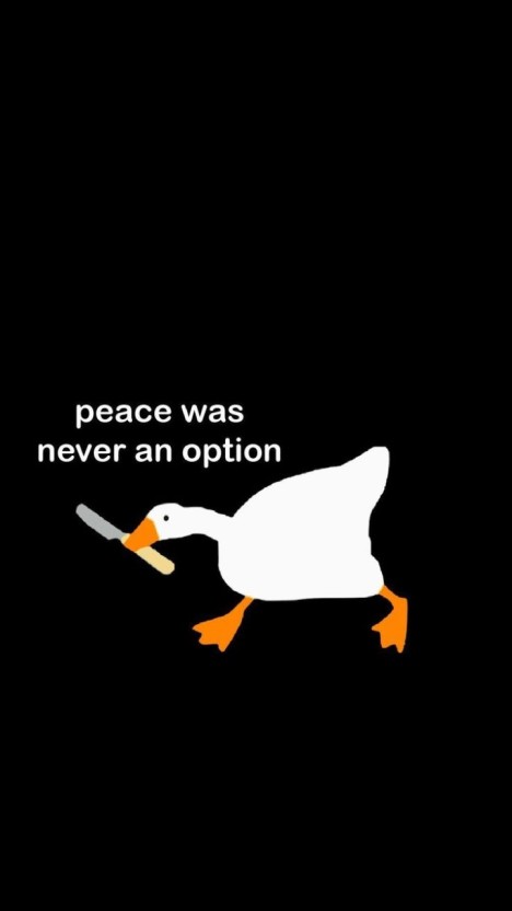 funny duck meme wallpaper collection