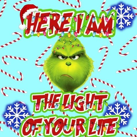 funny grinch pictures