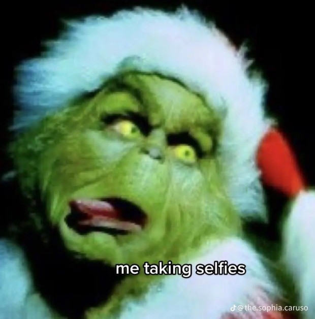 funny grinch wallpaper 0031