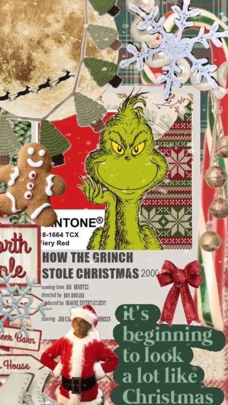 funny grinch wallpaper 0088