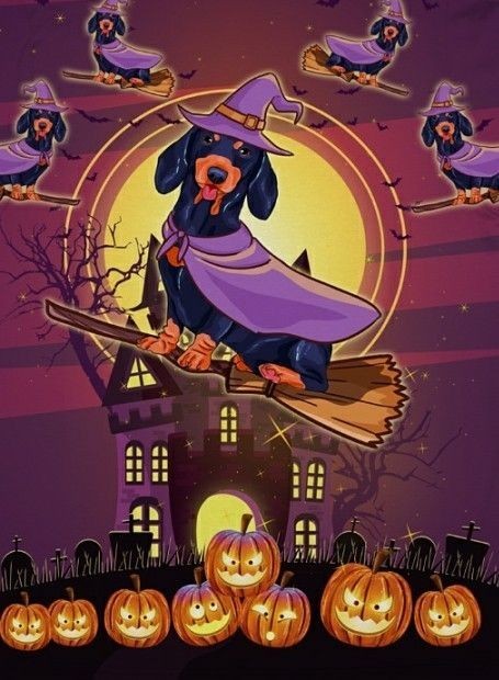 funny halloween wallpaper 0031