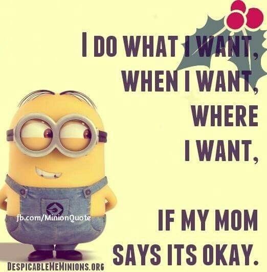 funny minion wallpaper 0072