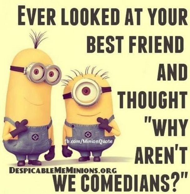 funny minion wallpaper 0076