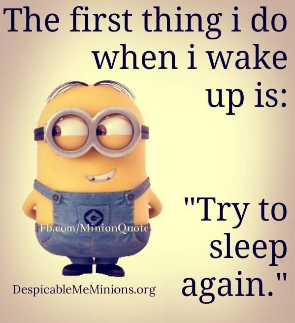 funny minion wallpaper 0077