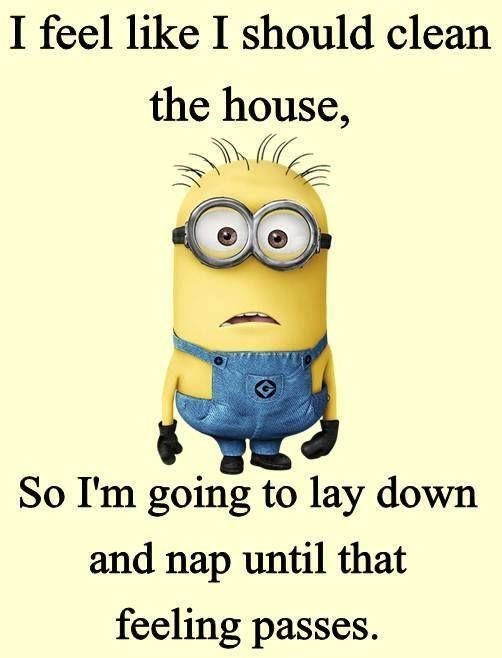 funny minion wallpaper 0085