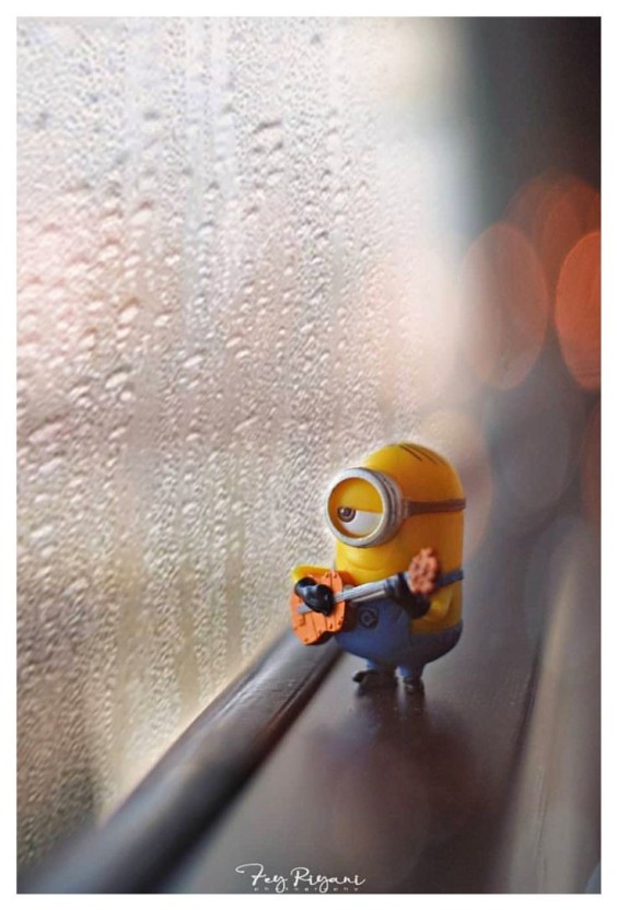 funny minion wallpaper 0094