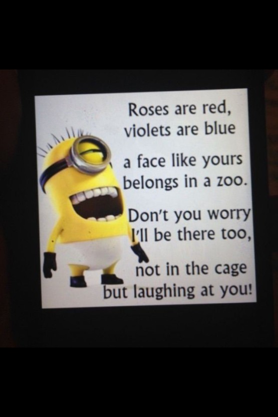 funny minion wallpaper 0095