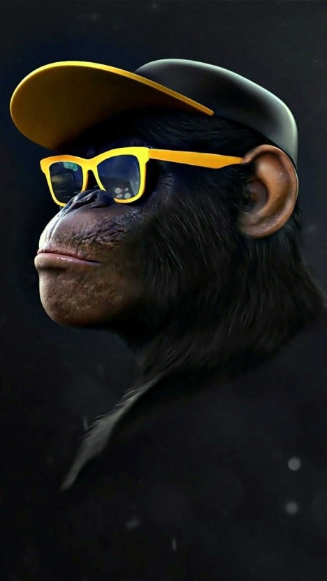 funny monkey wallpaper