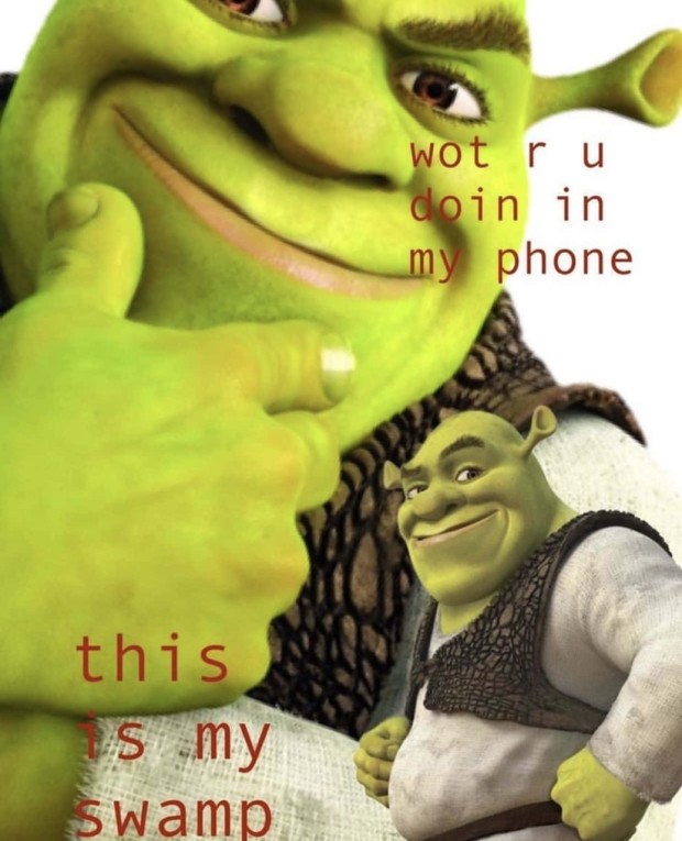 funny pictures of shrek 0027