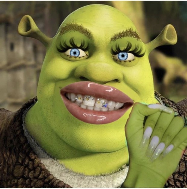 funny pictures of shrek 0096