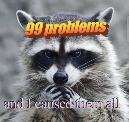 funny raccoon wallpaper 0022