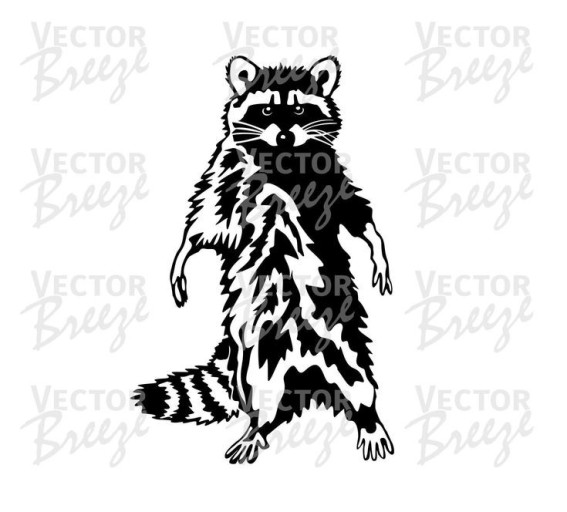 funny raccoon wallpaper 0028