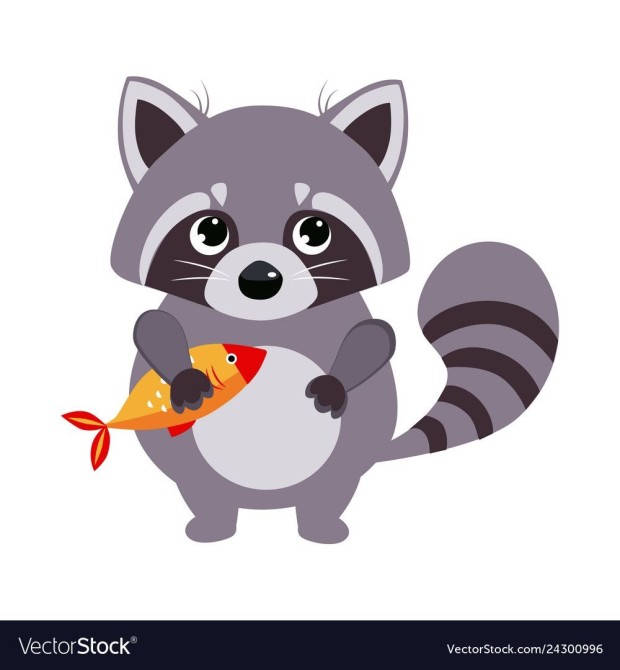 funny raccoon wallpaper 0031