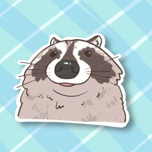 funny raccoon wallpaper 0086