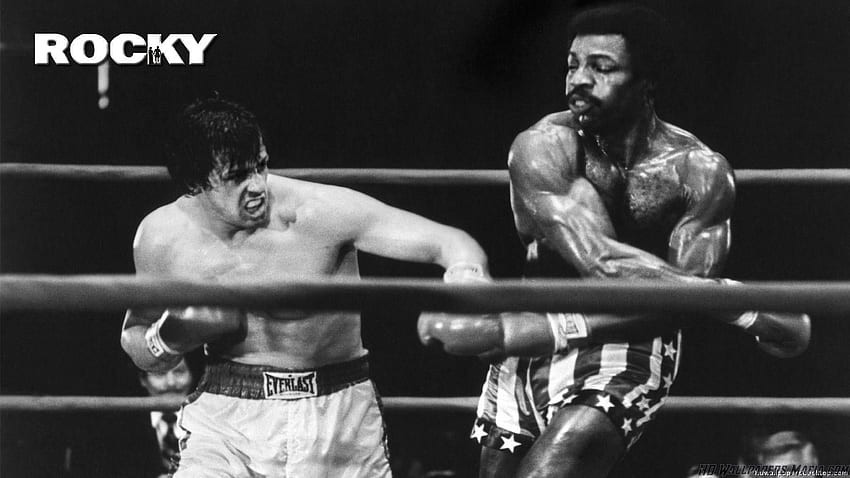 funny Rocky Balboa wallpaper