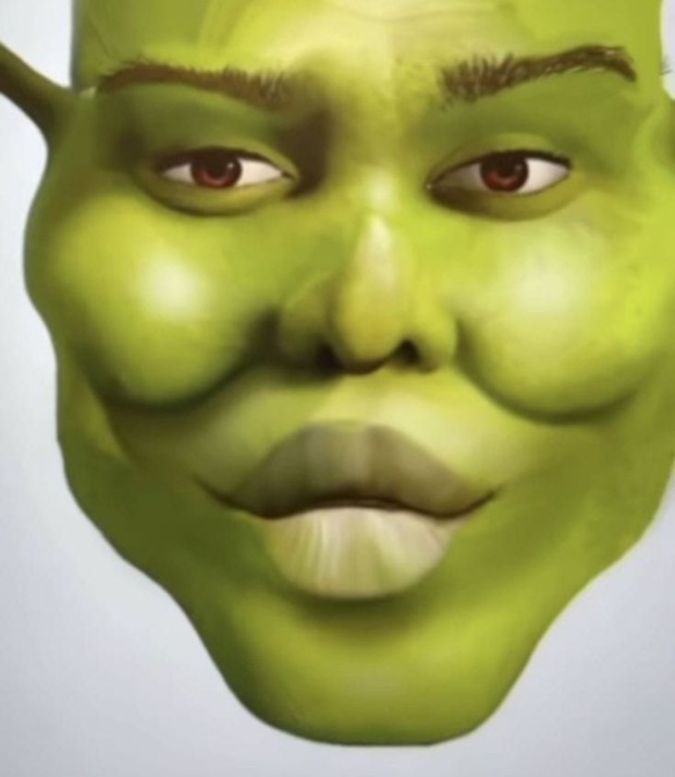 funny shrek with sunglasses images