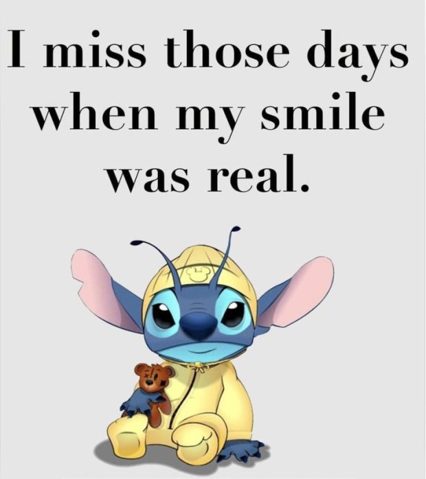 funny stitch pictures 0042