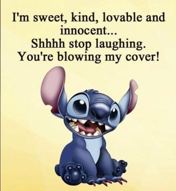 funny stitch pictures 0043