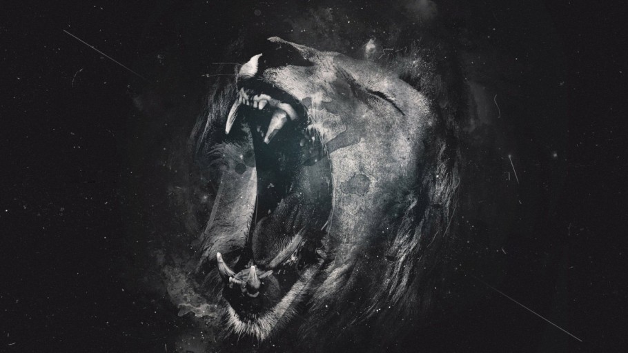 galaxy lion wallpaper 0041