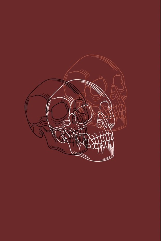 galaxy skull wallpaper 0081