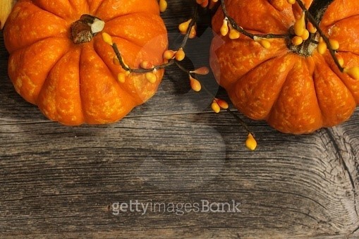 halloween fall background 0072