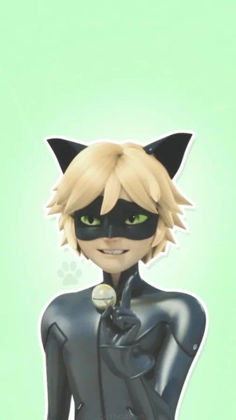 high-resolution cat noir wallpaper