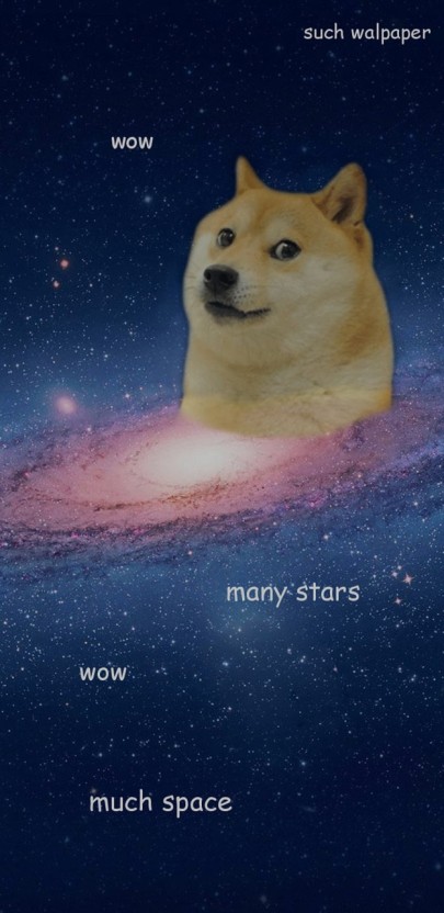 hilarious doge meme wallpapers