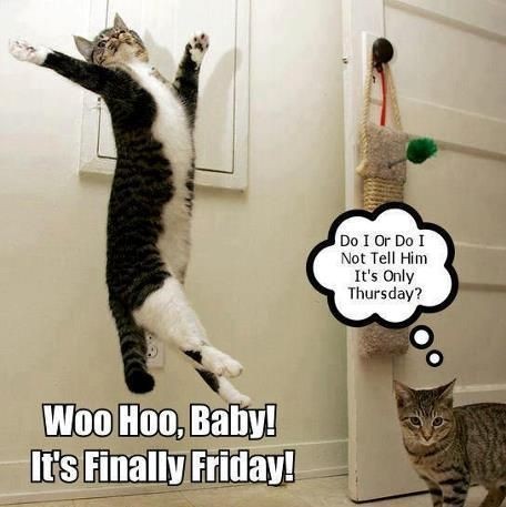 hilarious happy Friday scenes