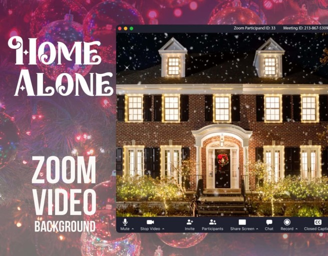 home alone zoom background ideas