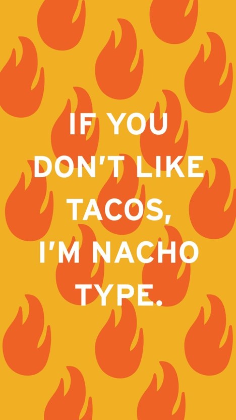 humorous taco wallpaper