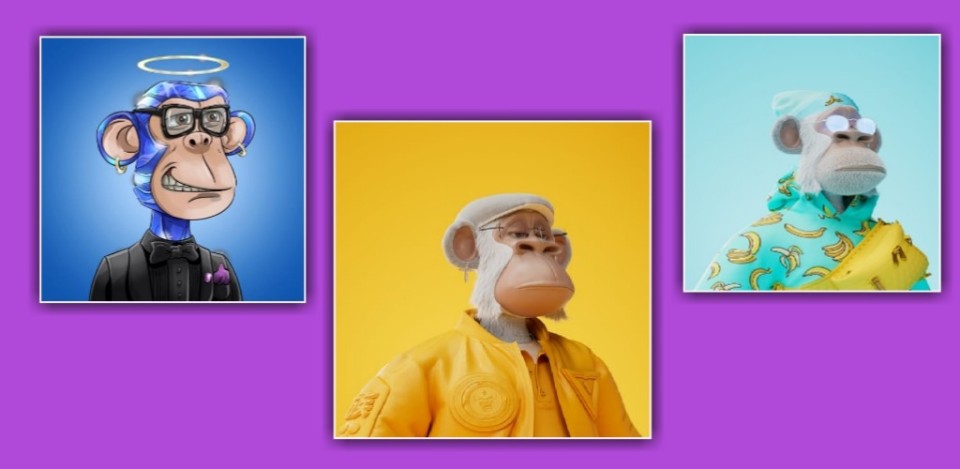 monkey wallpapers 0026