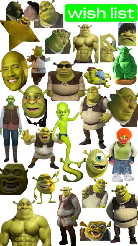 Shrek jokes in picture format