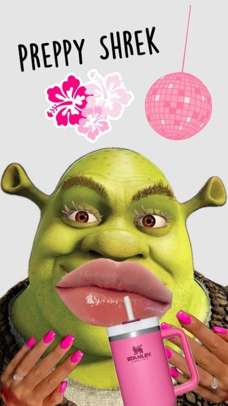 shrek wallpaper funny 0023