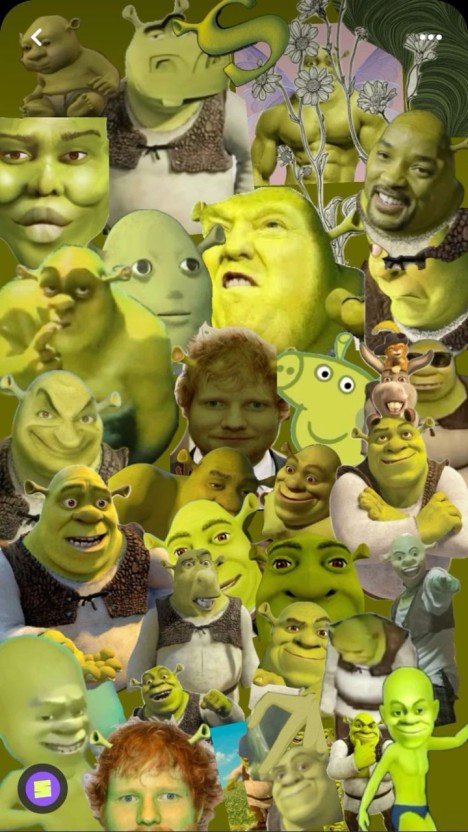 shrek wallpaper funny 0067