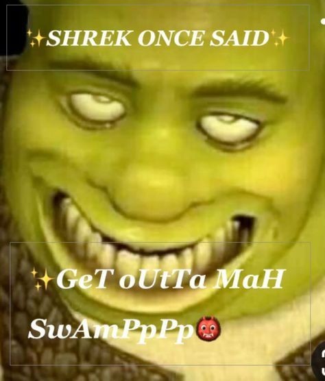 shrek wallpaper funny 0072