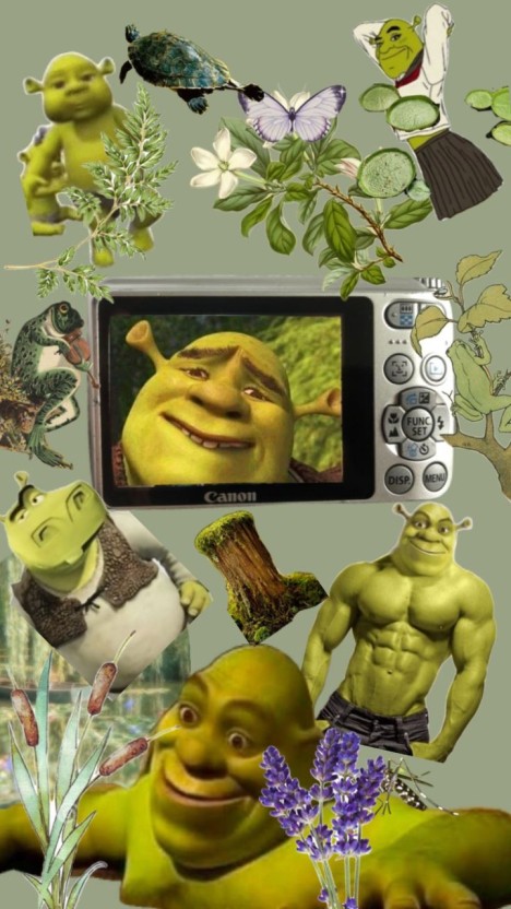 shrek wallpaper 0059