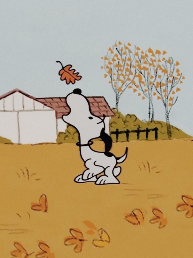 snoopy fall wallpaper 0061