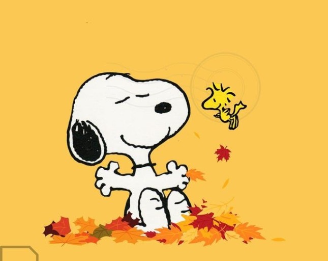 snoopy fall wallpaper 0073