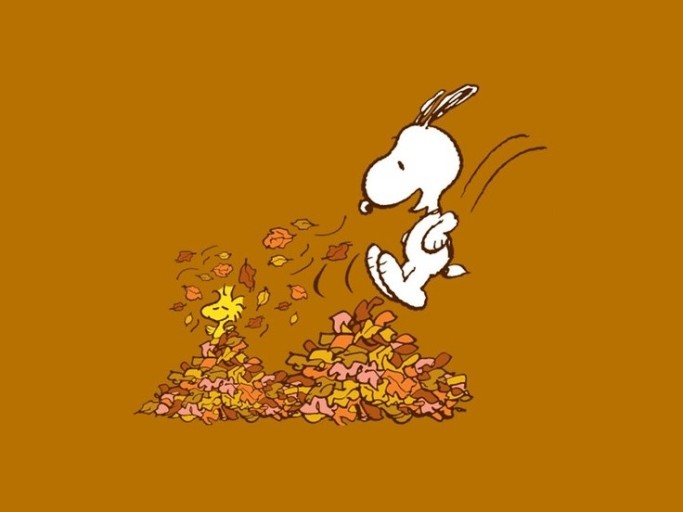 snoopy fall wallpaper 0083