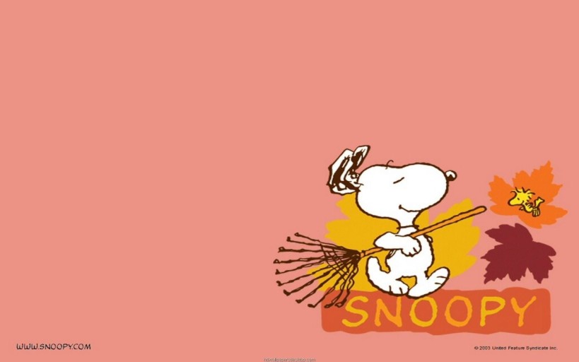 snoopy wallpaper 0036